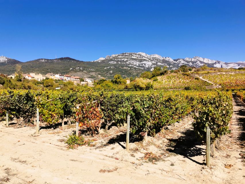 Ribera del Duero wine region private tour - Why Ribera del Duero is worth the 10-hour day trip