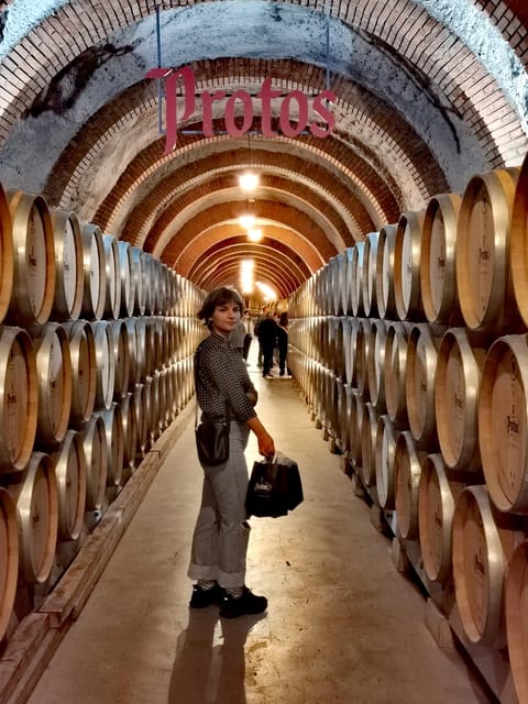 Ribera del Duero wine region private tour - Stop 1: a modern avant-garde winery where Tempranillo starts with climate and decisions