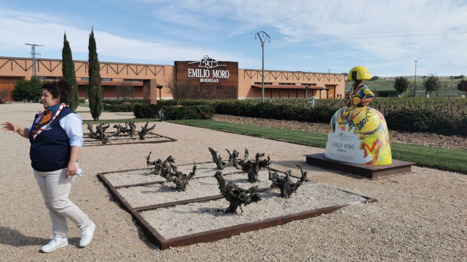 Ribera del Duero wine region private tour - Medieval villages and cellar hills: the lunch break that isn’t a break from wine
