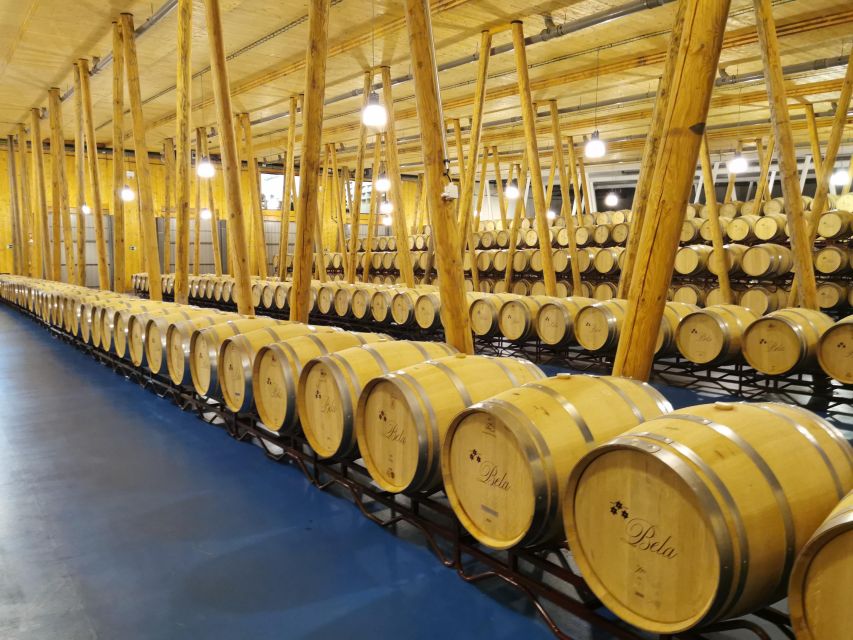 Ribera del Duero wine region private tour - Tasting strategy for a full day: how to make the most of three wines (twice)