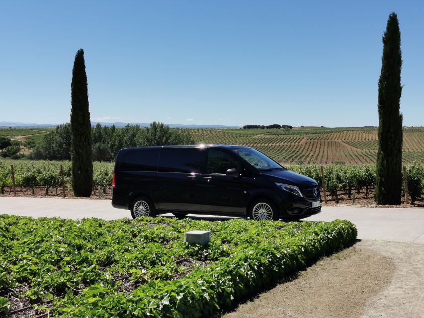 Ribera del Duero wine region private tour - Pickup and transport from Madrid: timing that actually works