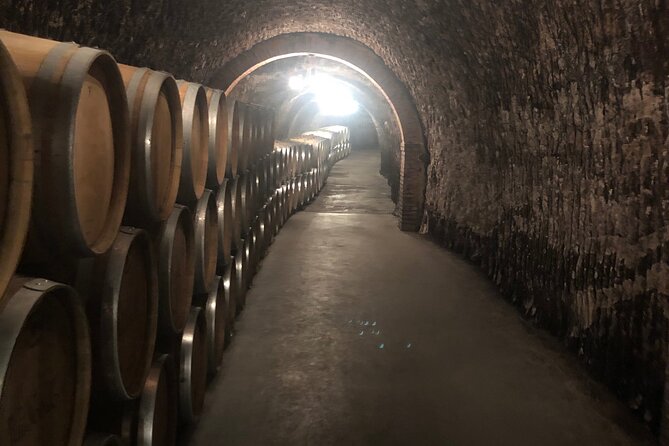 Ribera del Duero Wine Tour: Two Wineries and Tasting - Key highlights