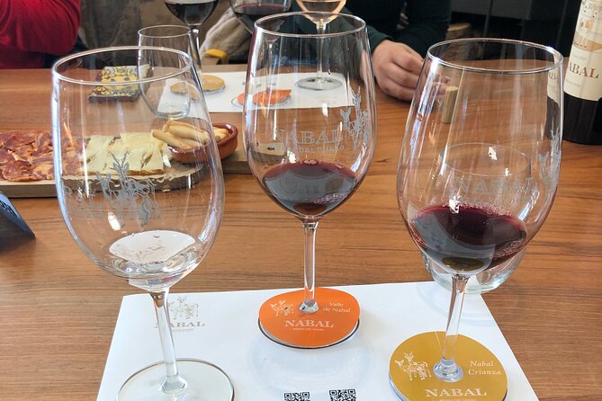 Ribera del Duero Wine Tour: Two Wineries and Tasting - Bodegas Ismael Arroyo: D.O. Context and Underground Tunnels