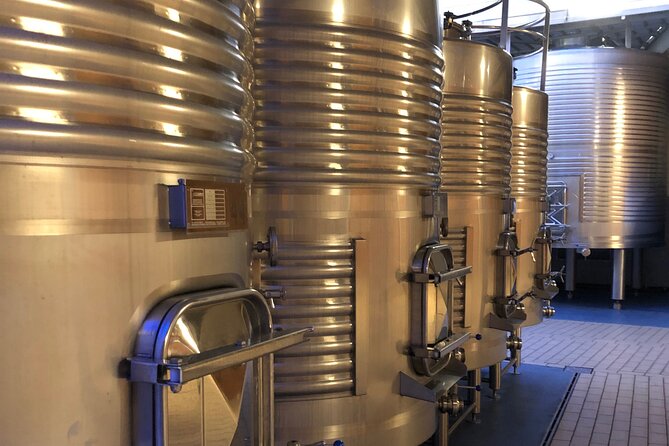 Ribera del Duero Wine Tour: Two Wineries and Tasting - What You Actually Taste: 6 Wines, Snacks, and a Guided Read