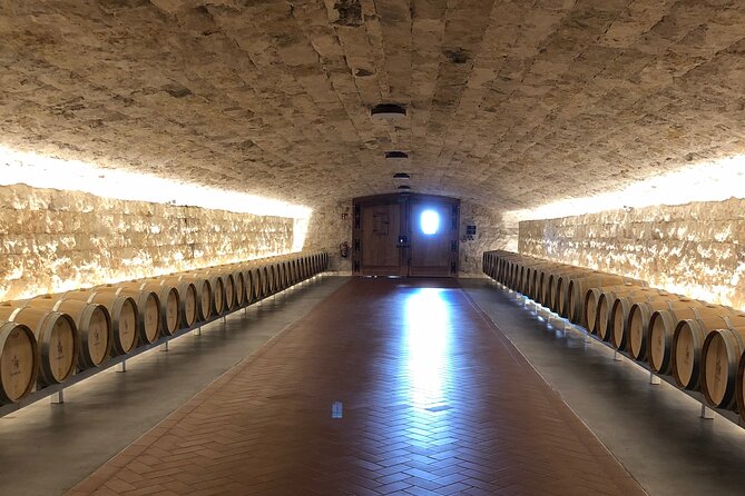 Ribera del Duero Wine Tour: Two Wineries and Tasting - Who This Tour Fits Best (and Who Might Want Another Option)