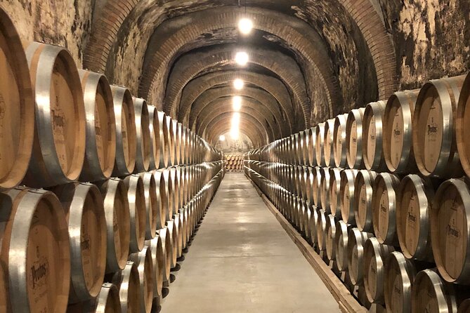 Ribera del Duero Wine Tour: Two Wineries and Tasting - Getting from Madrid: Morning Pickup and the Drive Out