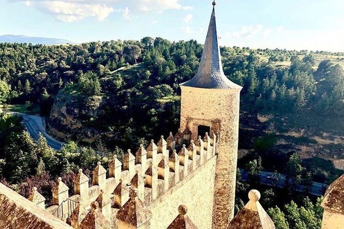 Segovia with Winery & Tasting Small Group Tour from Madrid - Segovia Cathedral and Alcázar: Disney inspiration meets real stone fortresses