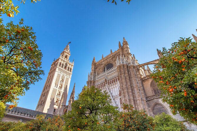 Seville in One Day by High speed Train from Madrid Private Tour - Price and value: what $534.62 buys you, and what it doesn’t