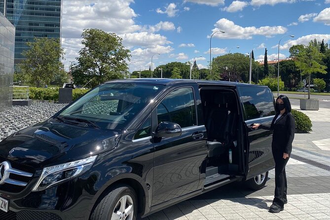Shuttle Transfer Arrivals: Madrid Airport to City Center - Key things to know before you go