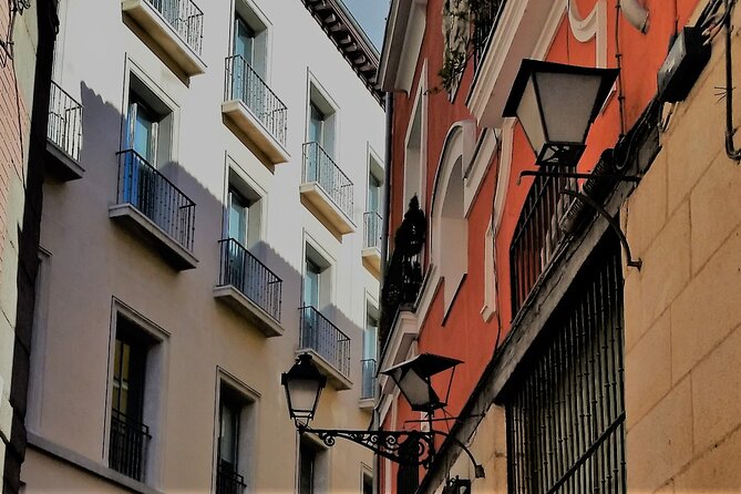 Surfing Madrid: From the Palace to the Tavern Private Tour - La Latina Lanes and Plaza de la Villa: Neighborhood Madrid, Not Postcard Madrid