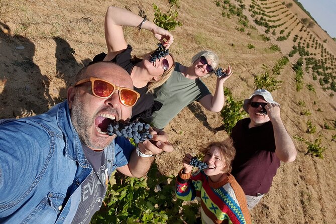 Toledo small group, Winery, Windmiils, Lunch included. - Getting oriented: the Madrid start and a very real 10-hour day