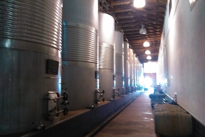 Toledo, Windmills, Winery Small Group Tour with Lunch from Madrid - Price and value: what you’re paying for beyond “getting there”