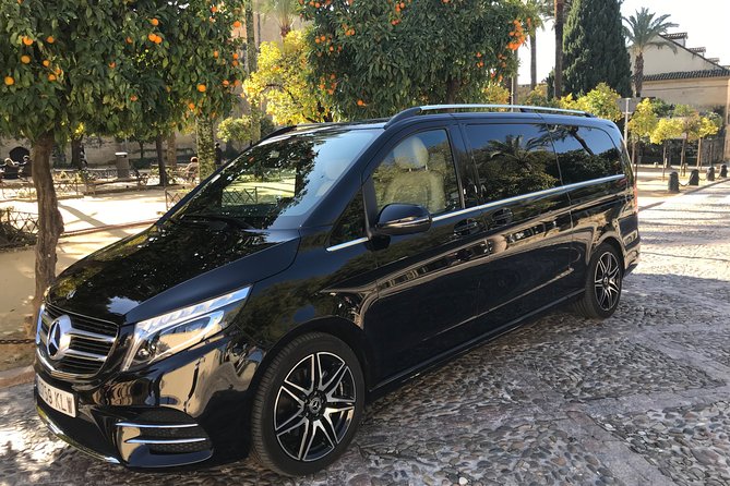 Transfer from the Airport to Madrid - The Ride Itself: Private, Professional, and Built for Real Luggage