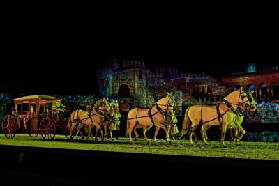 Visit Puy du Fou España by bus From Madrid - Birds of Prey and Horses: Scheduling Around High-Impact Performances