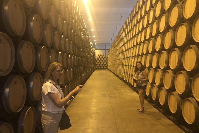 Windmills of Don Quixote Wine Tour & Tasting from Madrid - Should You Book This Don Quixote Wine Tour?